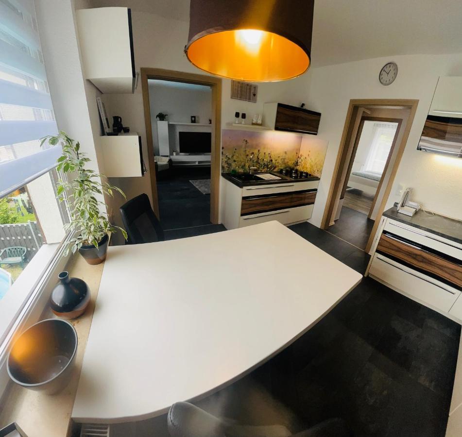 Apartment Ziegenschweiz Auerbach (Erzgebirgskreis)